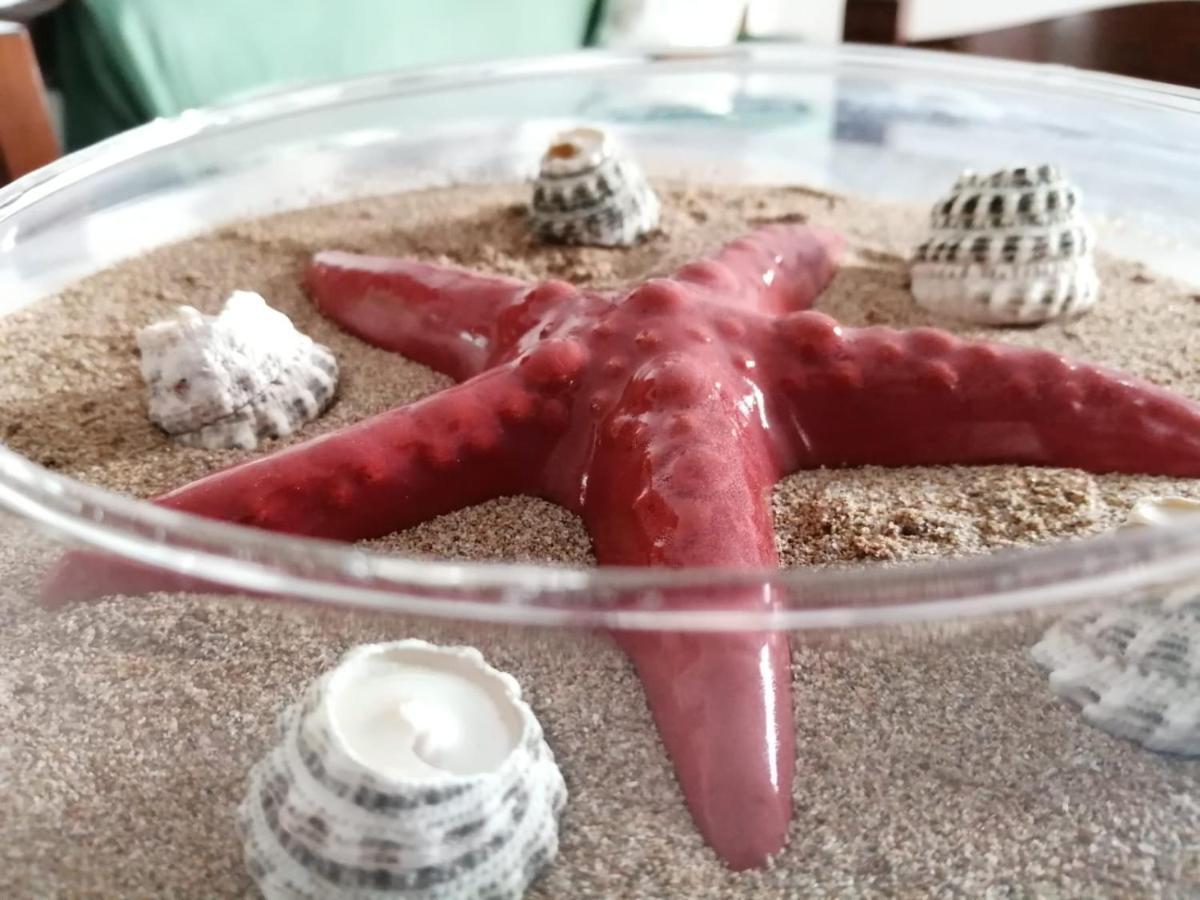 شقة Casa Amaranto تيراسيني المظهر الخارجي الصورة